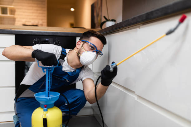 Best Local Pest Control Services  in Osage City, KS