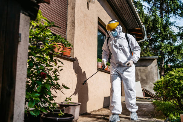 Best Exterminator Services  in Osage City, KS