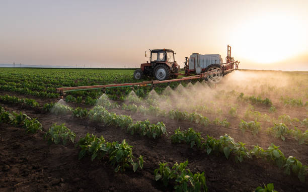 Best Best Pest Control Companies  in Osage City, KS