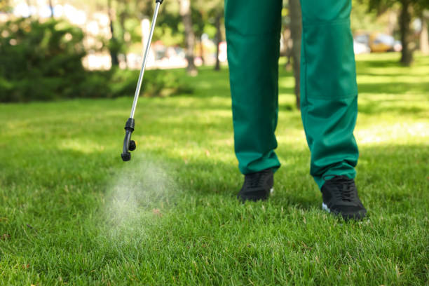 Best Emergency Pest Control  in Osage City, KS