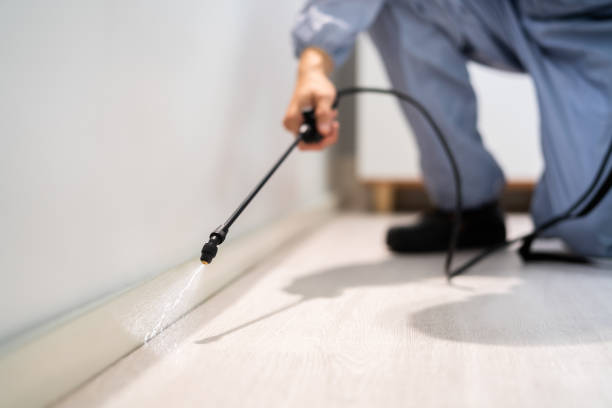 Professional Pest Control in Osage City, KS
