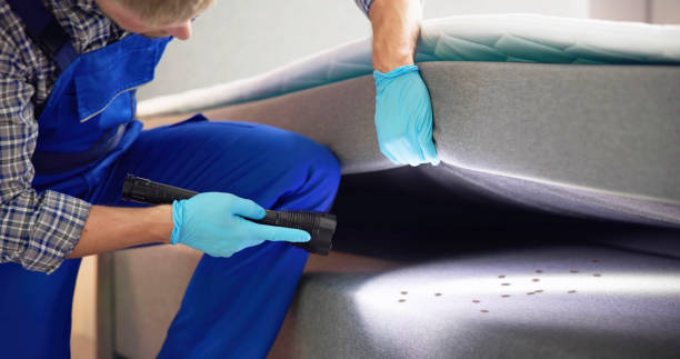 Best Pest Inspection Near Me  in Osage City, KS