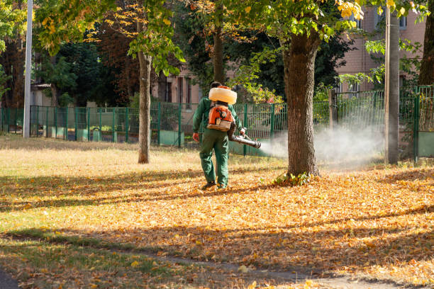 Best Affordable Pest Control Services  in Osage City, KS