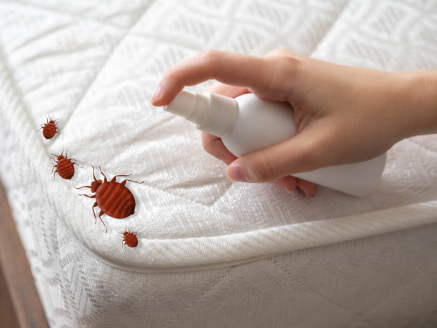 Pest Control for Restaurants in Osage City, KS
