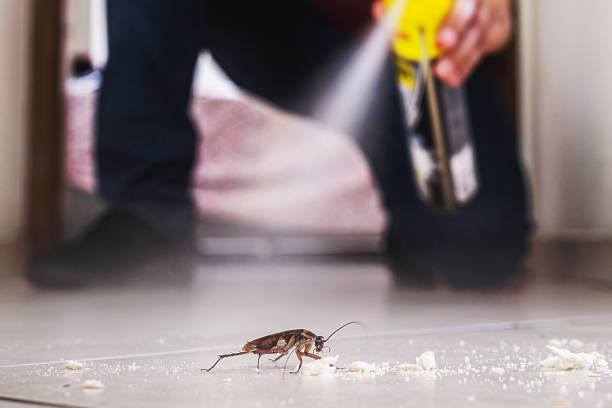 Best Affordable Pest Control Services  in Osage City, KS