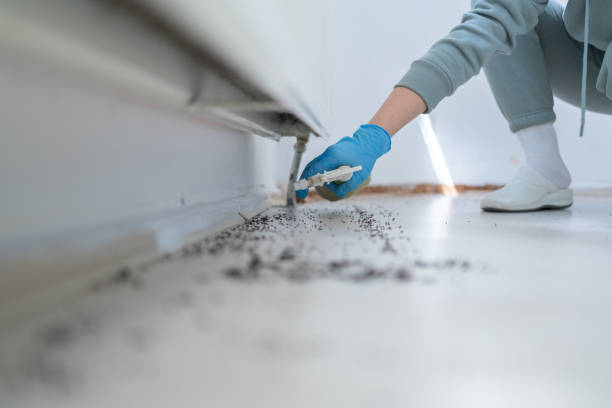 Best Local Pest Control Services  in Osage City, KS