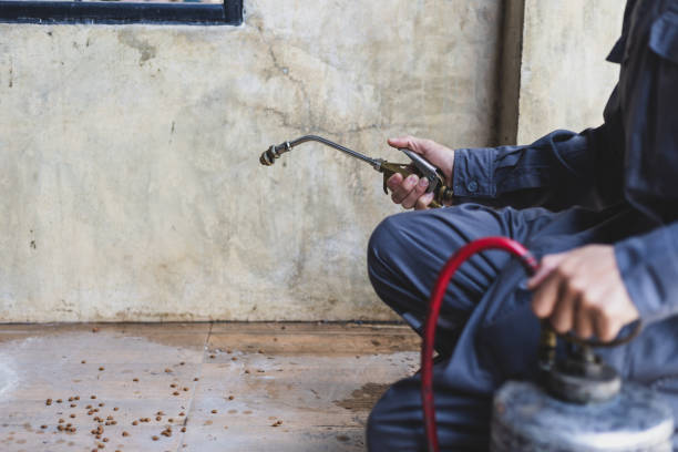 Best Residential Pest Control  in Osage City, KS
